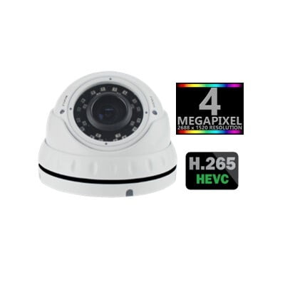 Teravision 4MP IP Dome Camera Teravision 4MP IP Dome Camera